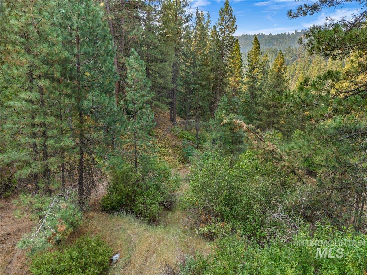 Tbd Robie Creek Rd Property Photo 9