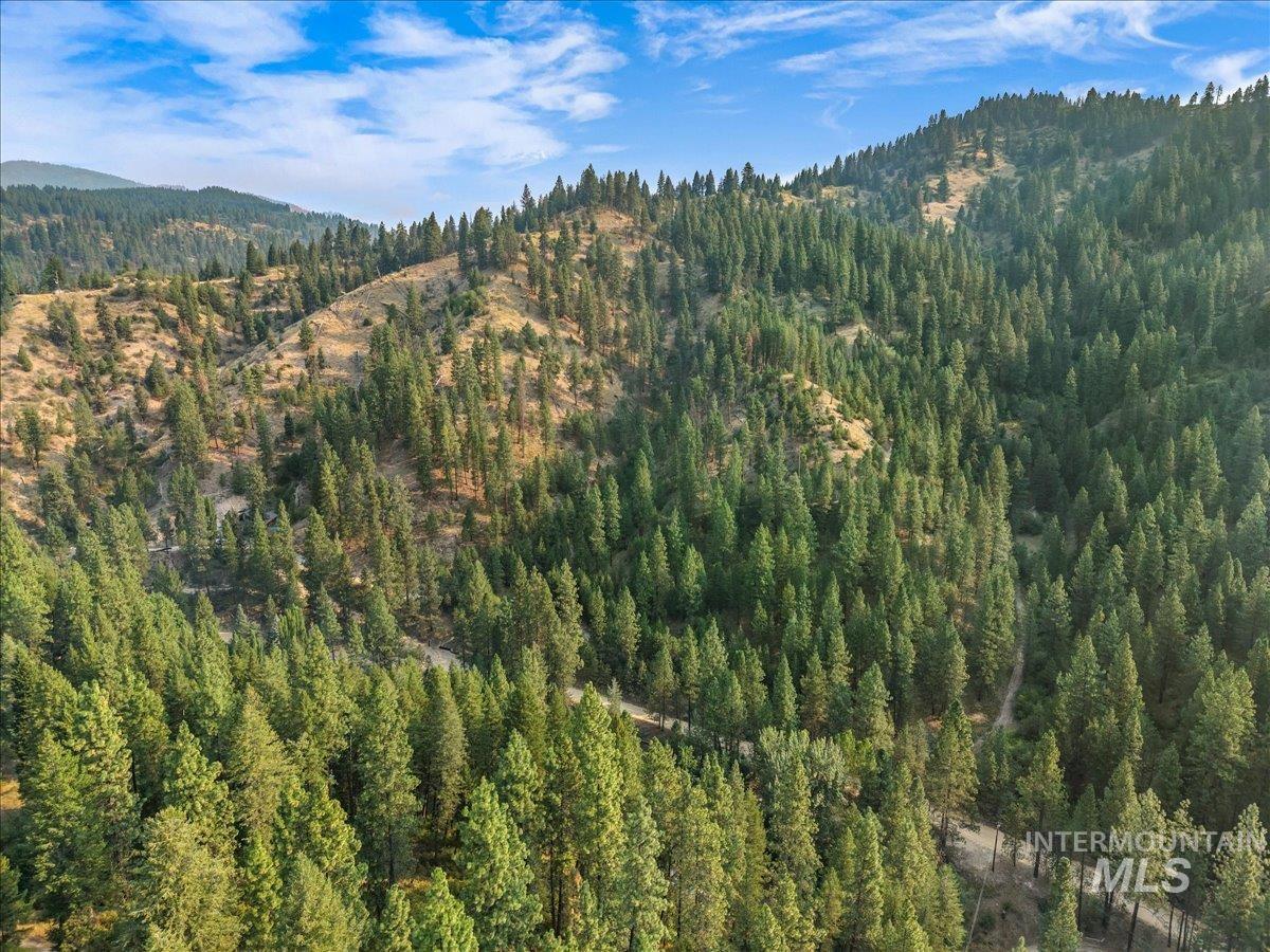 Tbd Robie Creek Rd Property Photo 13