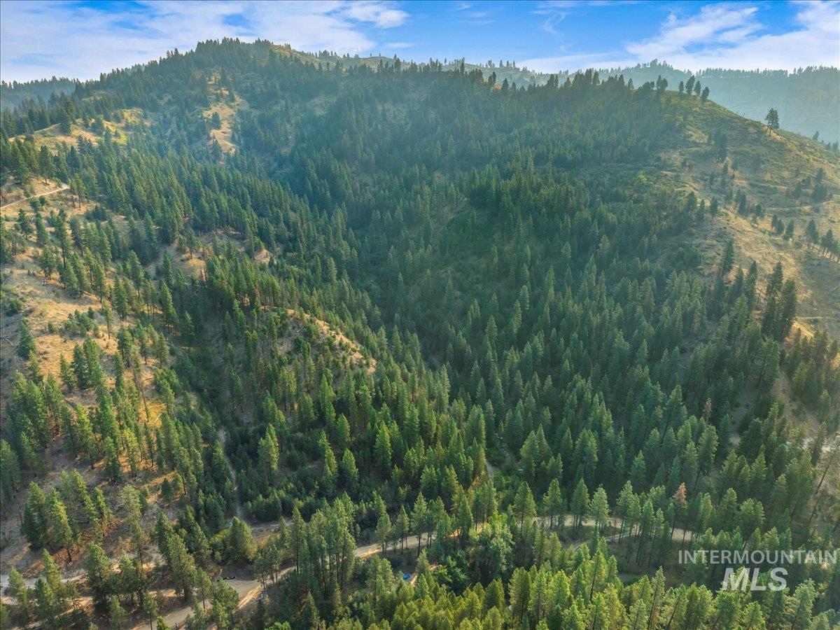 Tbd Robie Creek Rd Property Photo 15