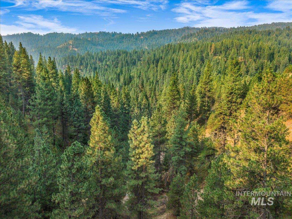 Tbd Robie Creek Rd Property Photo 18