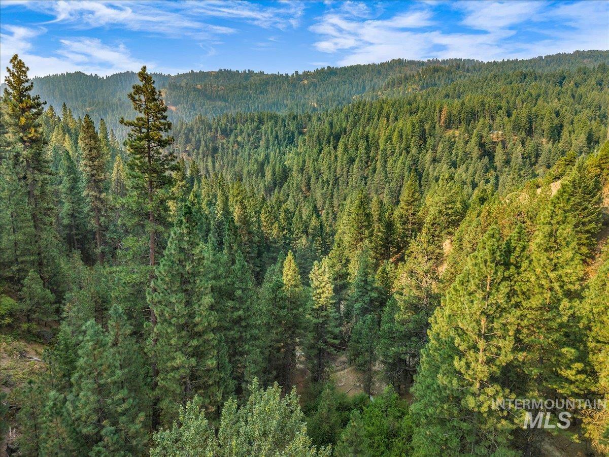 Tbd Robie Creek Rd Property Photo 19