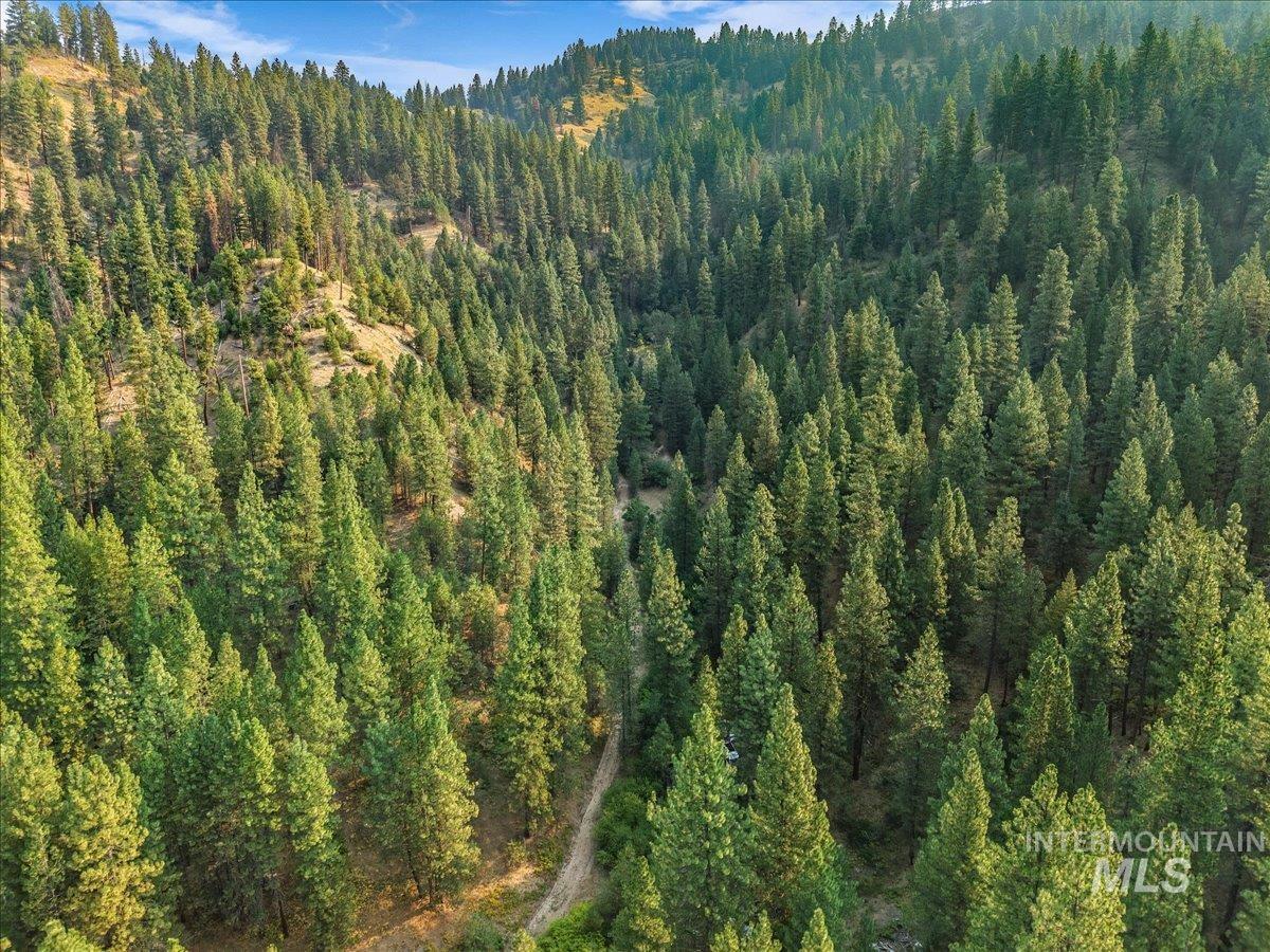 Tbd Robie Creek Rd Property Photo 20