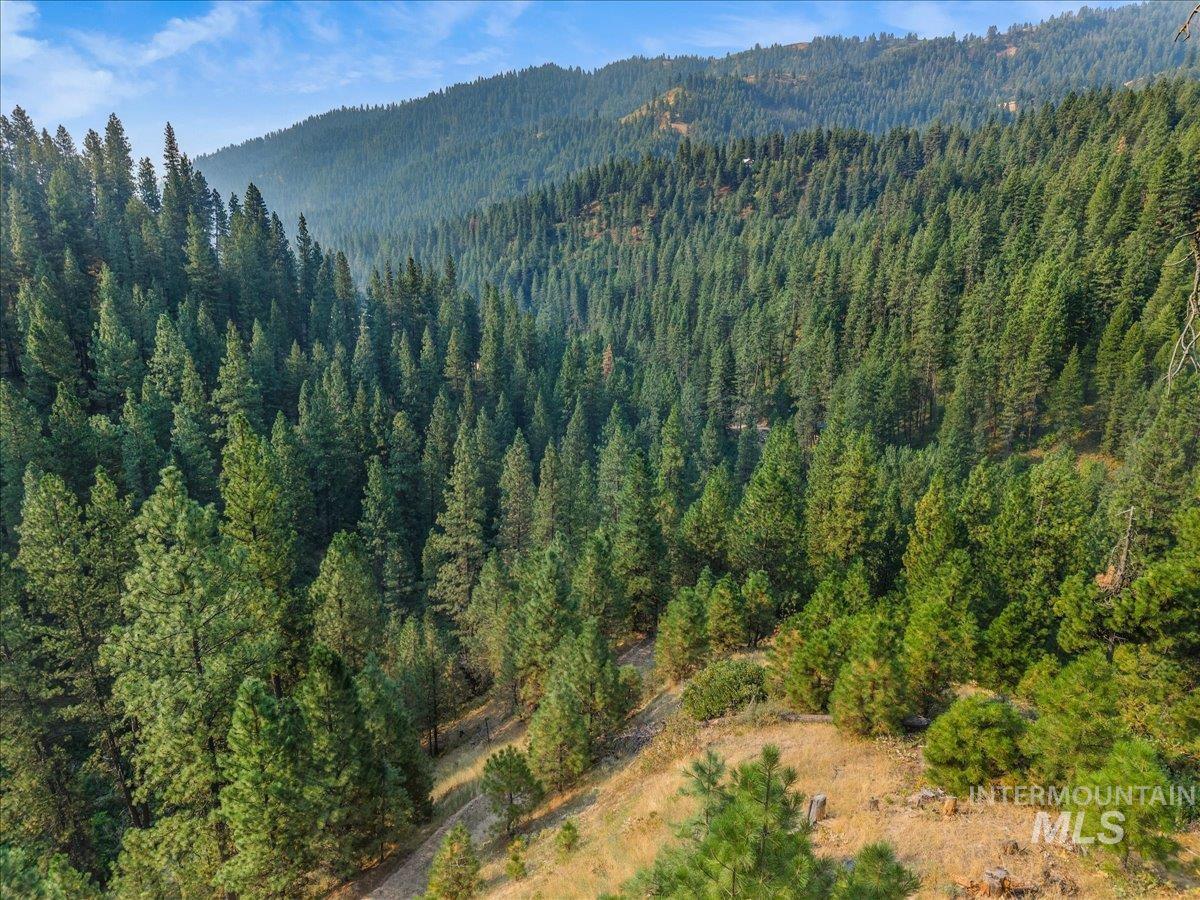 Tbd Robie Creek Rd Property Photo 28