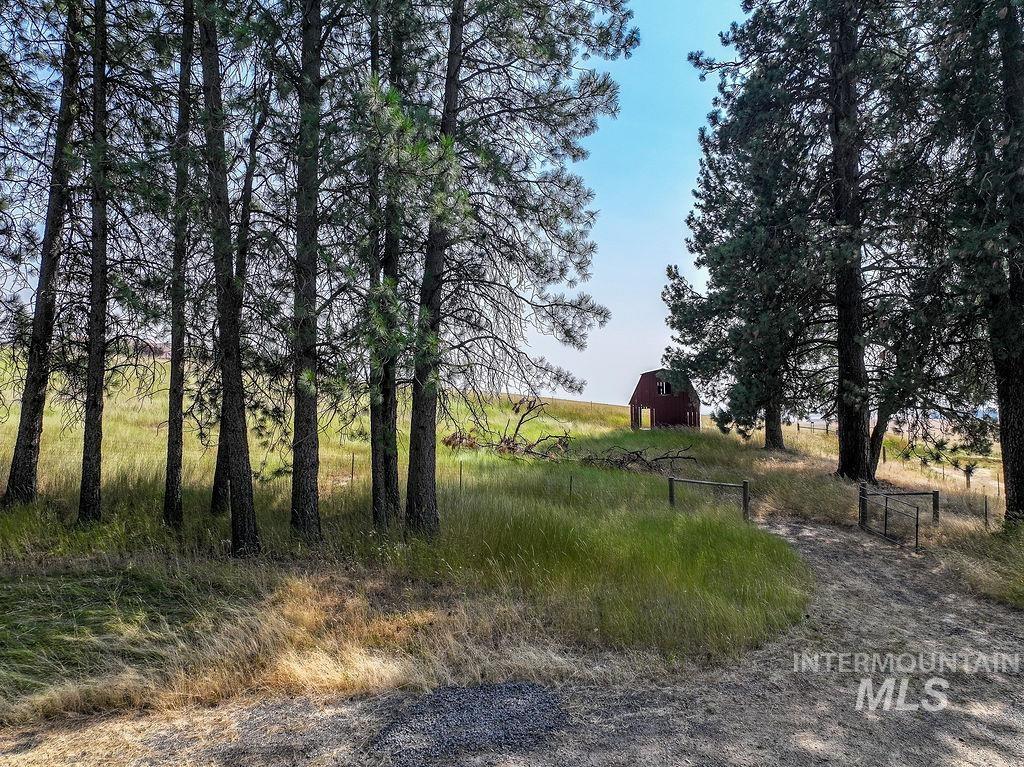 3851 Highway 8 Property Photo 44