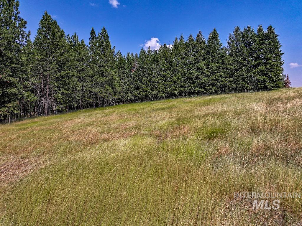3851 Highway 8 Property Photo 45