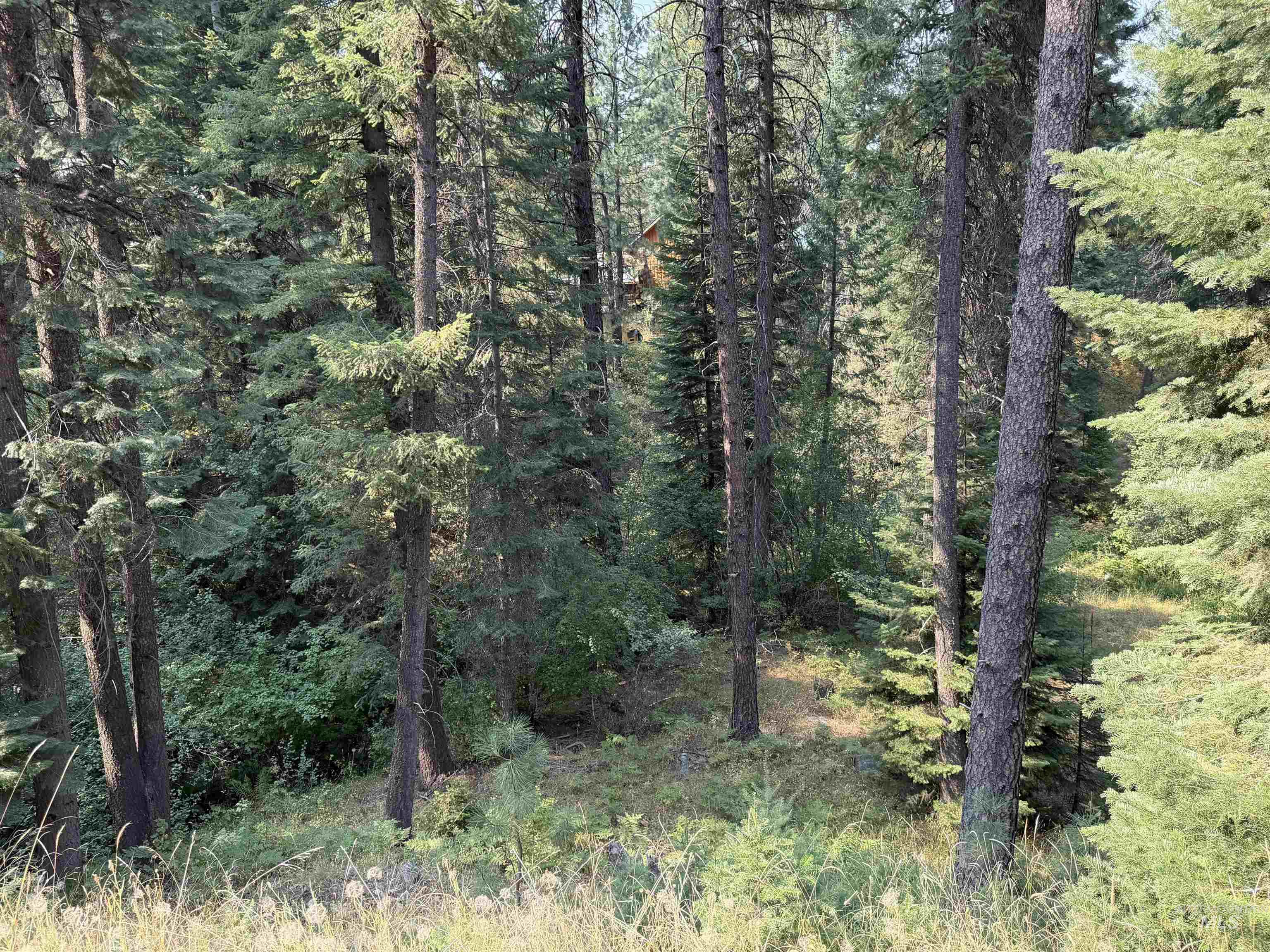 2 Snowbird Ln Property Photo 5
