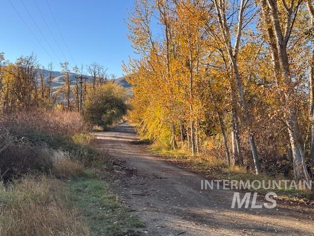 3930 Jake Lane Property Photo 12