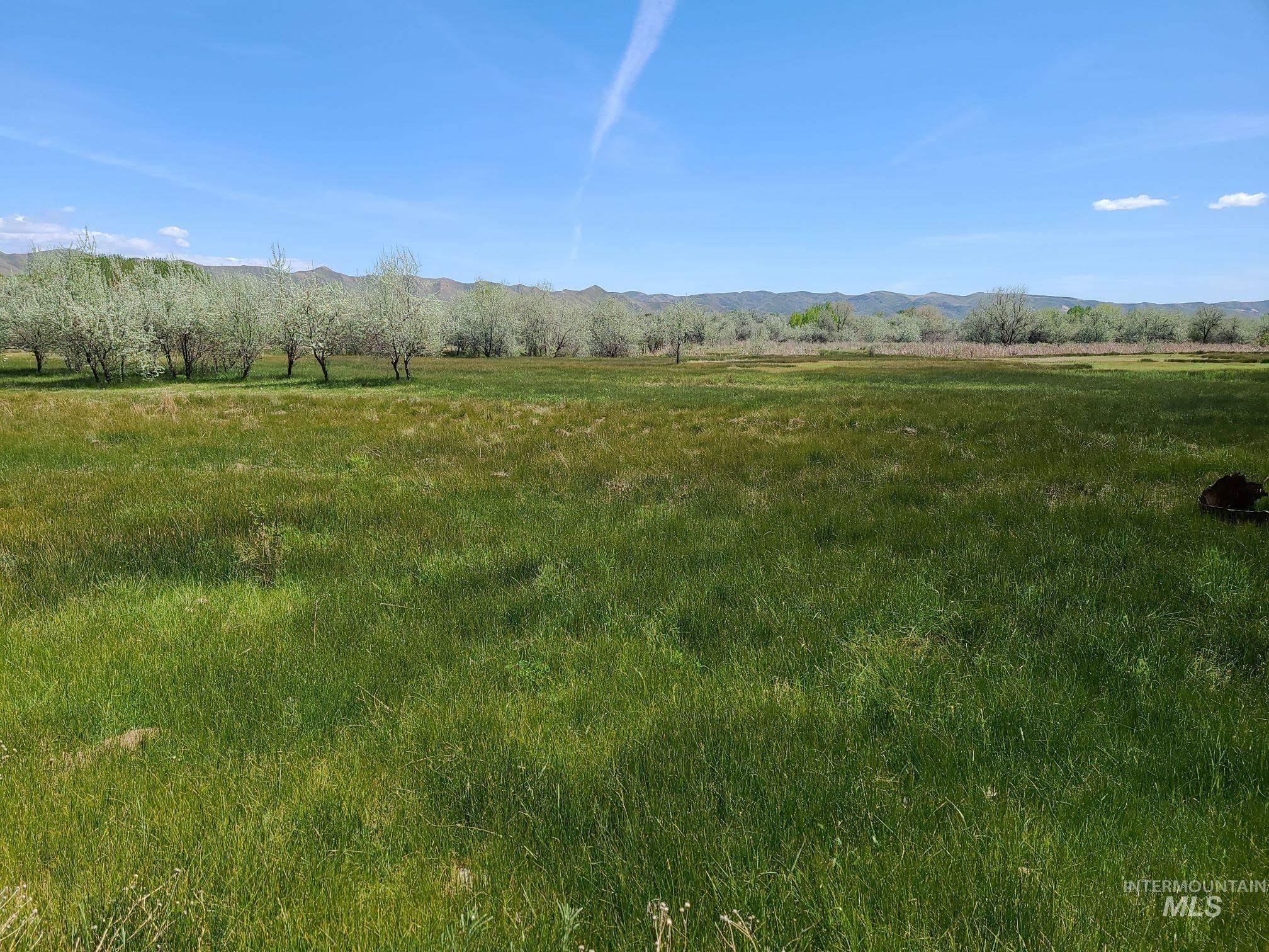 Tbd Idaho Blvd Property Photo 6