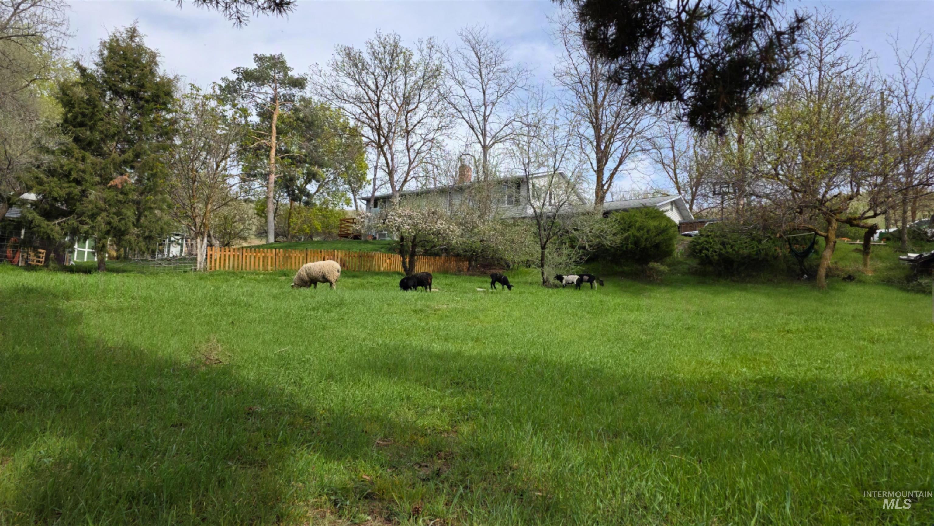 13100 N Horseshoe Bend Rd Property Photo 7