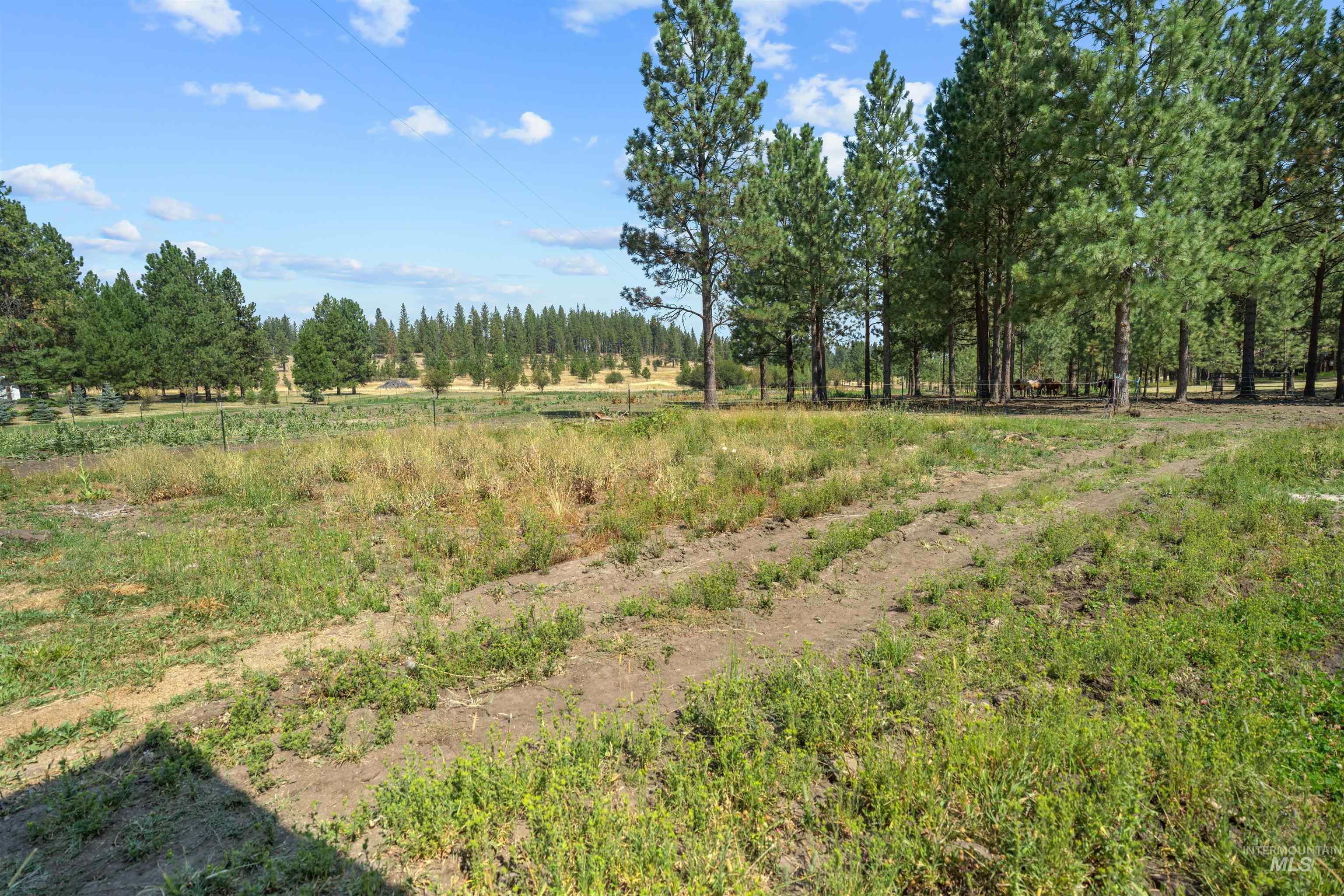 1910 East Mountain Rd Property Photo 26