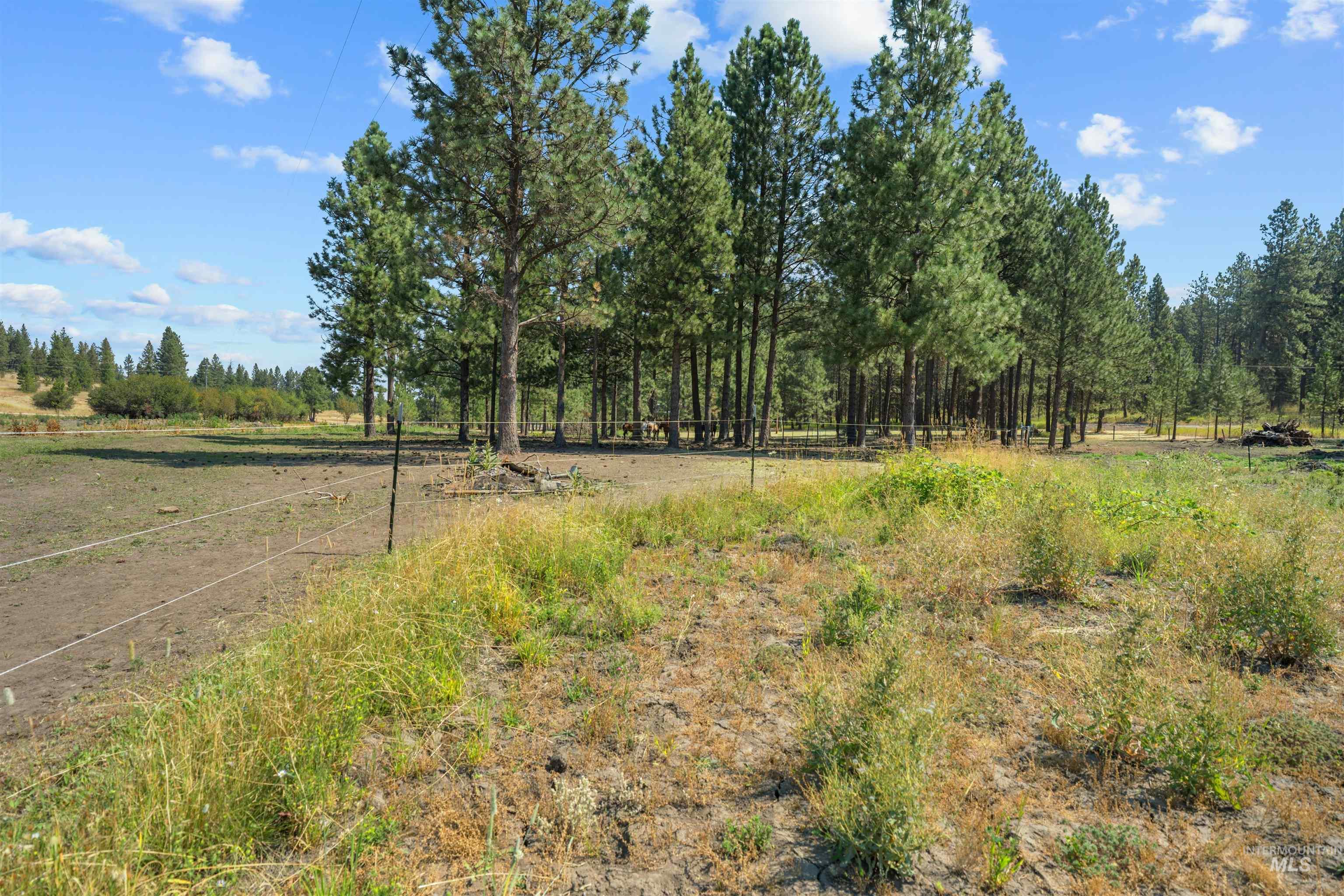 1910 East Mountain Rd Property Photo 31