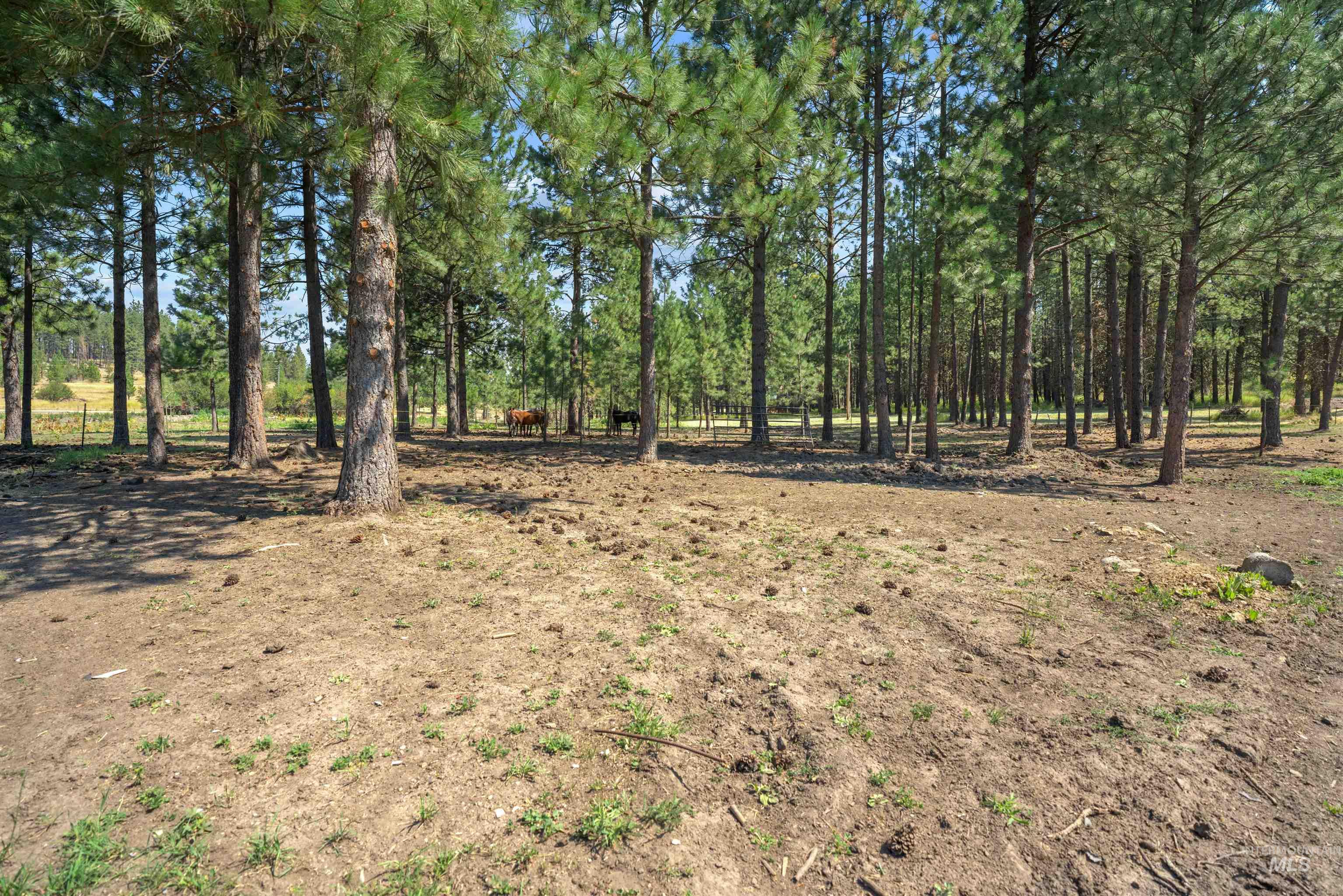 1910 East Mountain Rd Property Photo 32