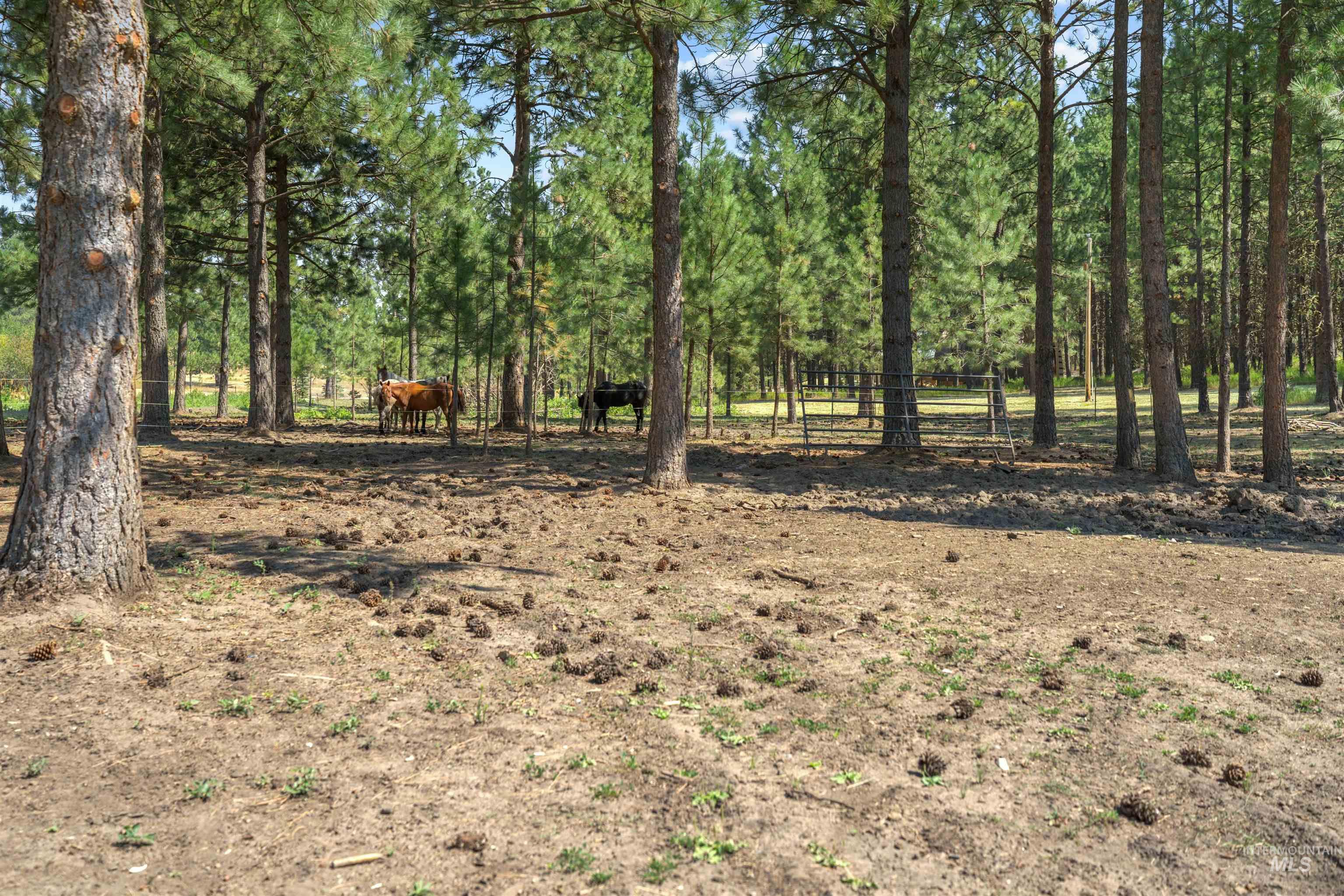 1910 East Mountain Rd Property Photo 33