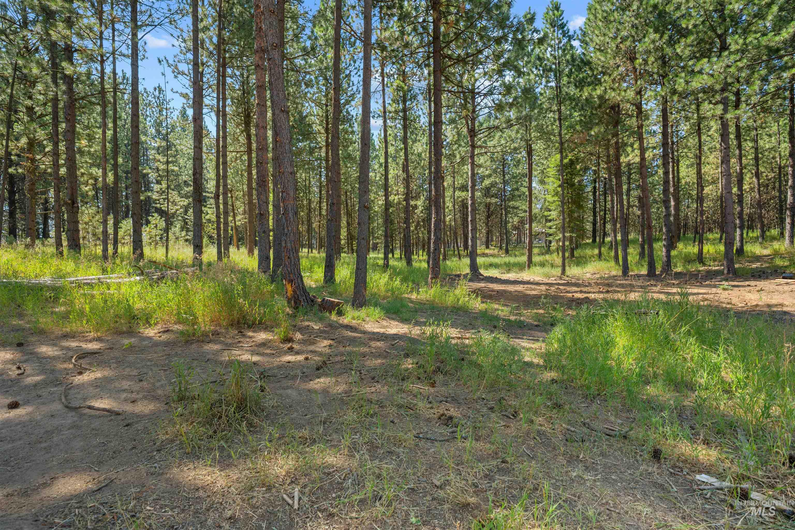 1910 East Mountain Rd Property Photo 37