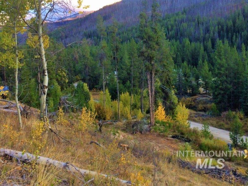 1.38 Ac Main Street Property Photo 1