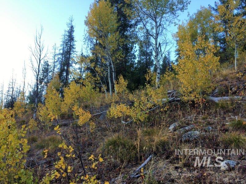1.38 Ac Main Street Property Photo 10