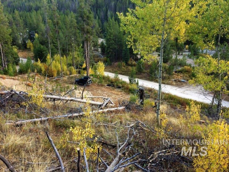 1.38 Ac Main Street Property Photo 13