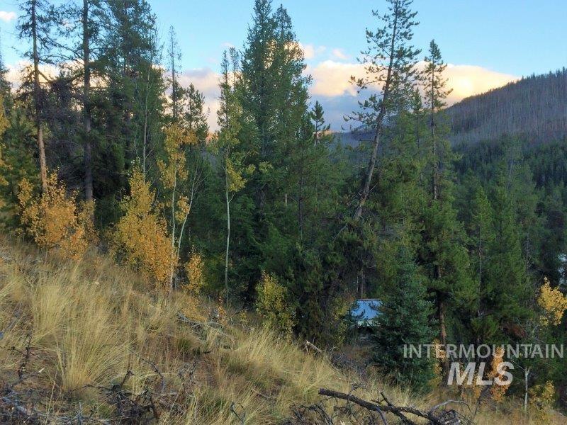 1.38 Ac Main Street Property Photo 18