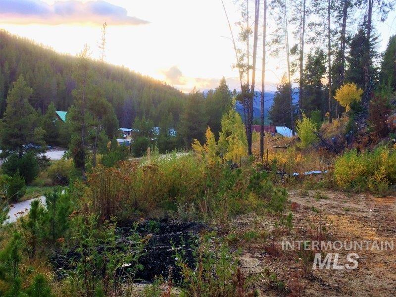 1.38 Ac Main Street Property Photo 23