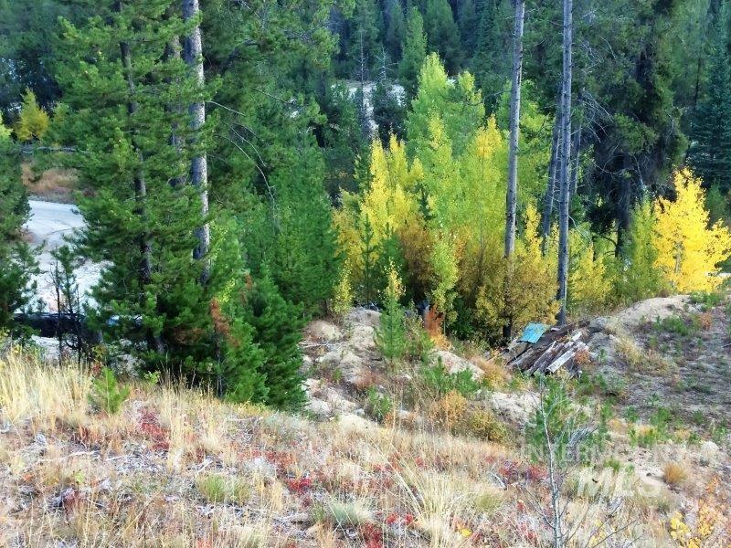 1.38 Ac Main Street Property Photo 31