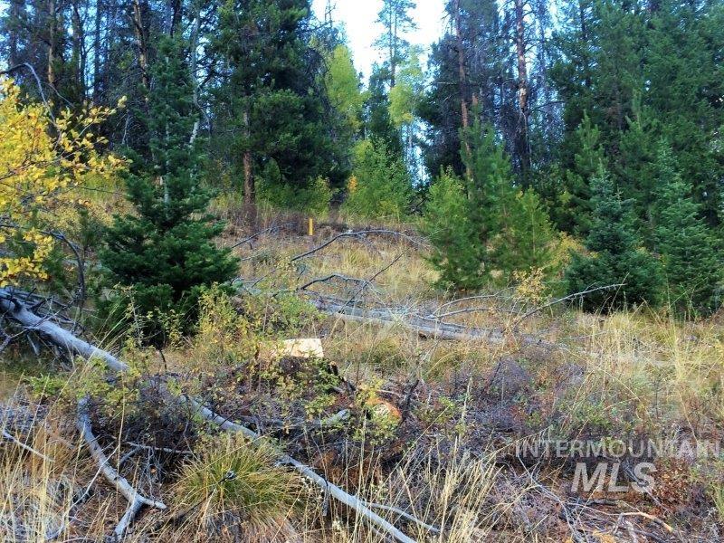 1.38 Ac Main Street Property Photo 32