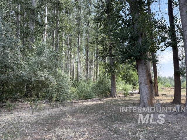 Tbd N River Road Property Photo 2