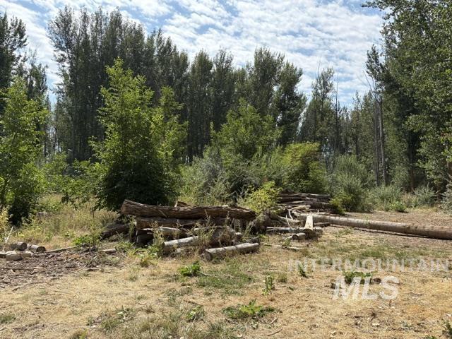 Tbd N River Road Property Photo 5