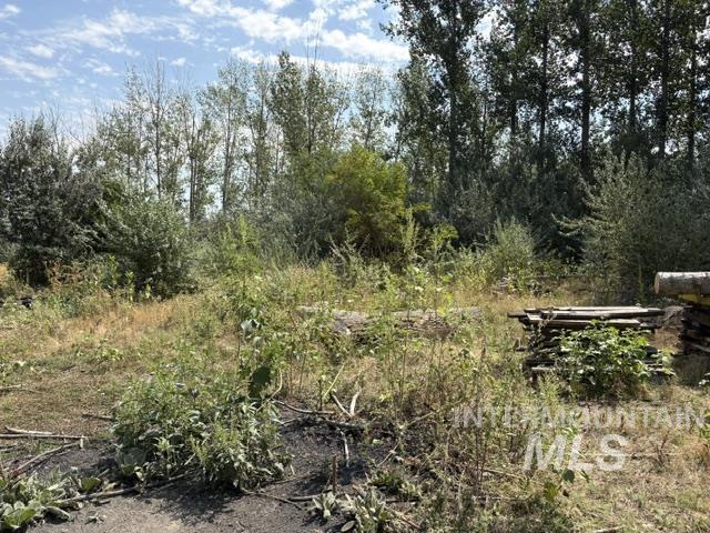 Tbd N River Road Property Photo 8
