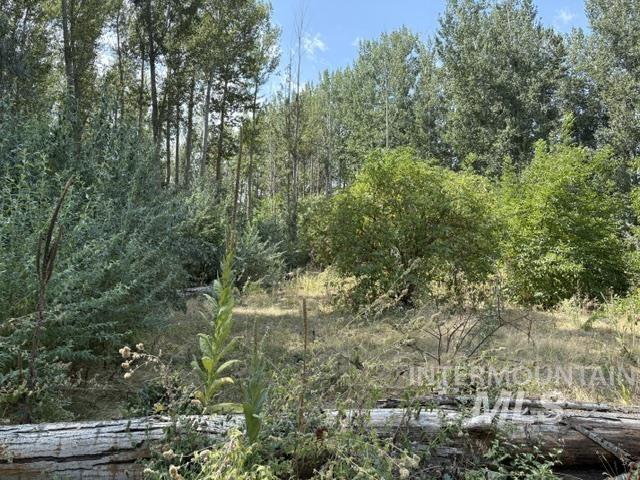 Tbd N River Road Property Photo 10