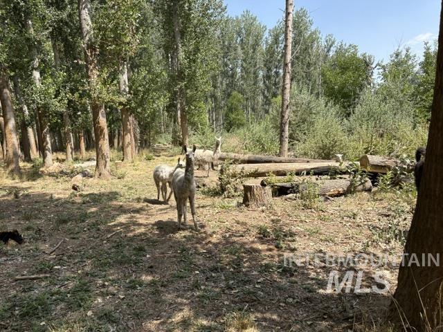 Tbd N River Road Property Photo 11