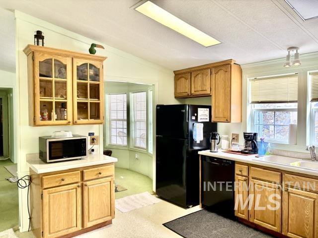 3626 Licorice Pl Property Photo 5