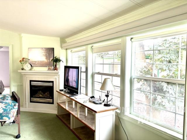 3626 Licorice Pl Property Photo 8