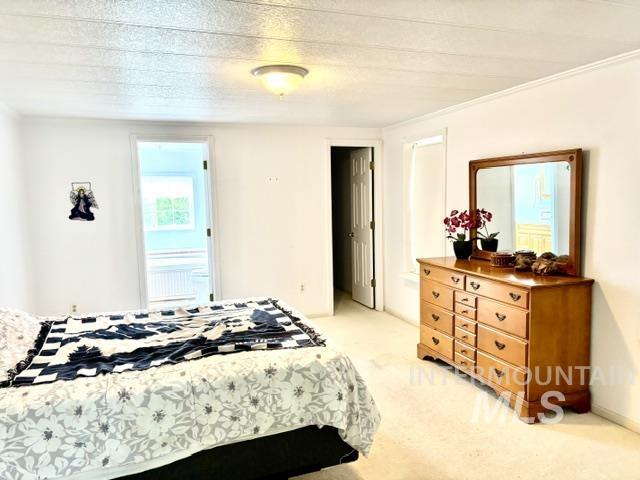 3626 Licorice Pl Property Photo 9