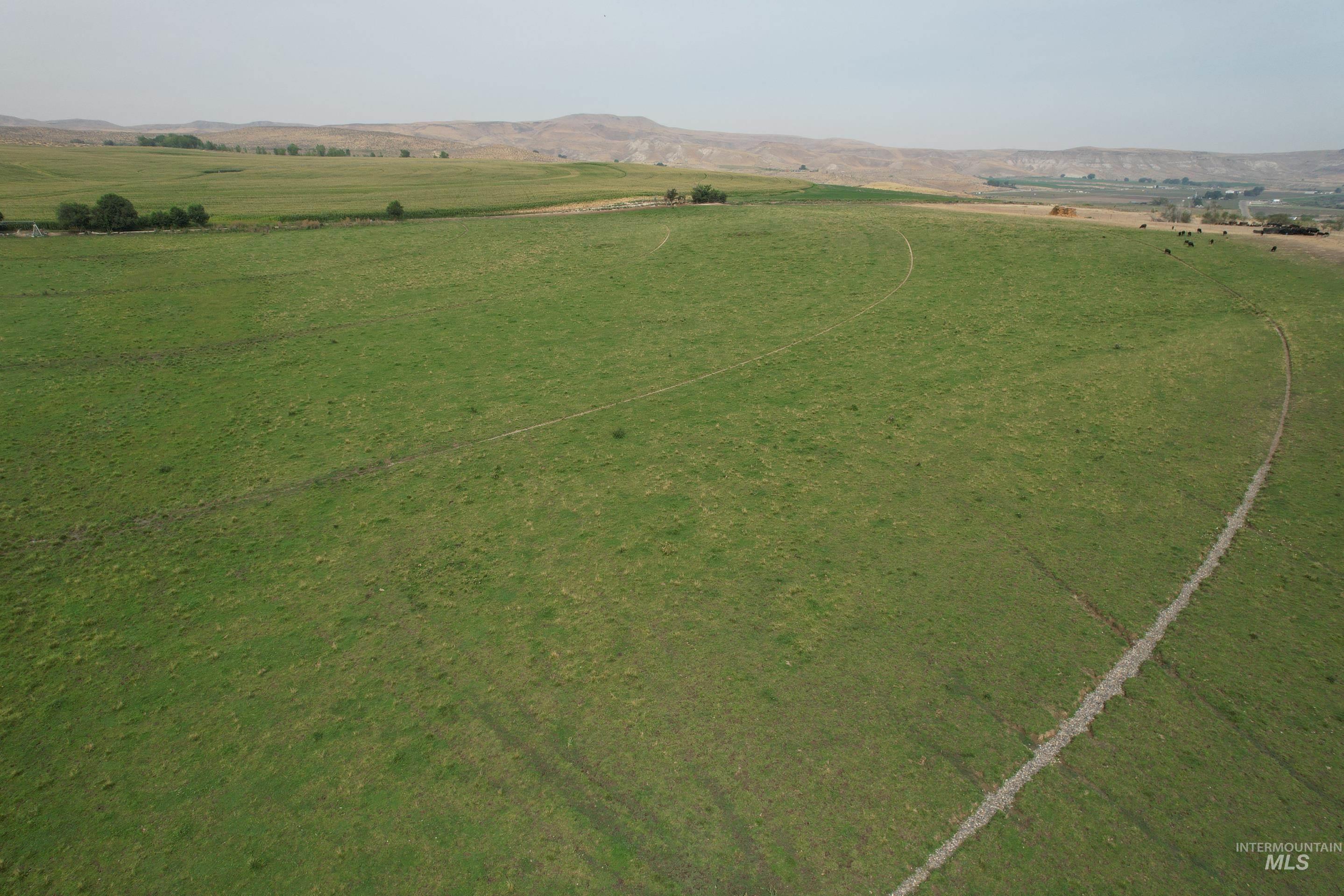 1547 Highway 201 Property Photo 6