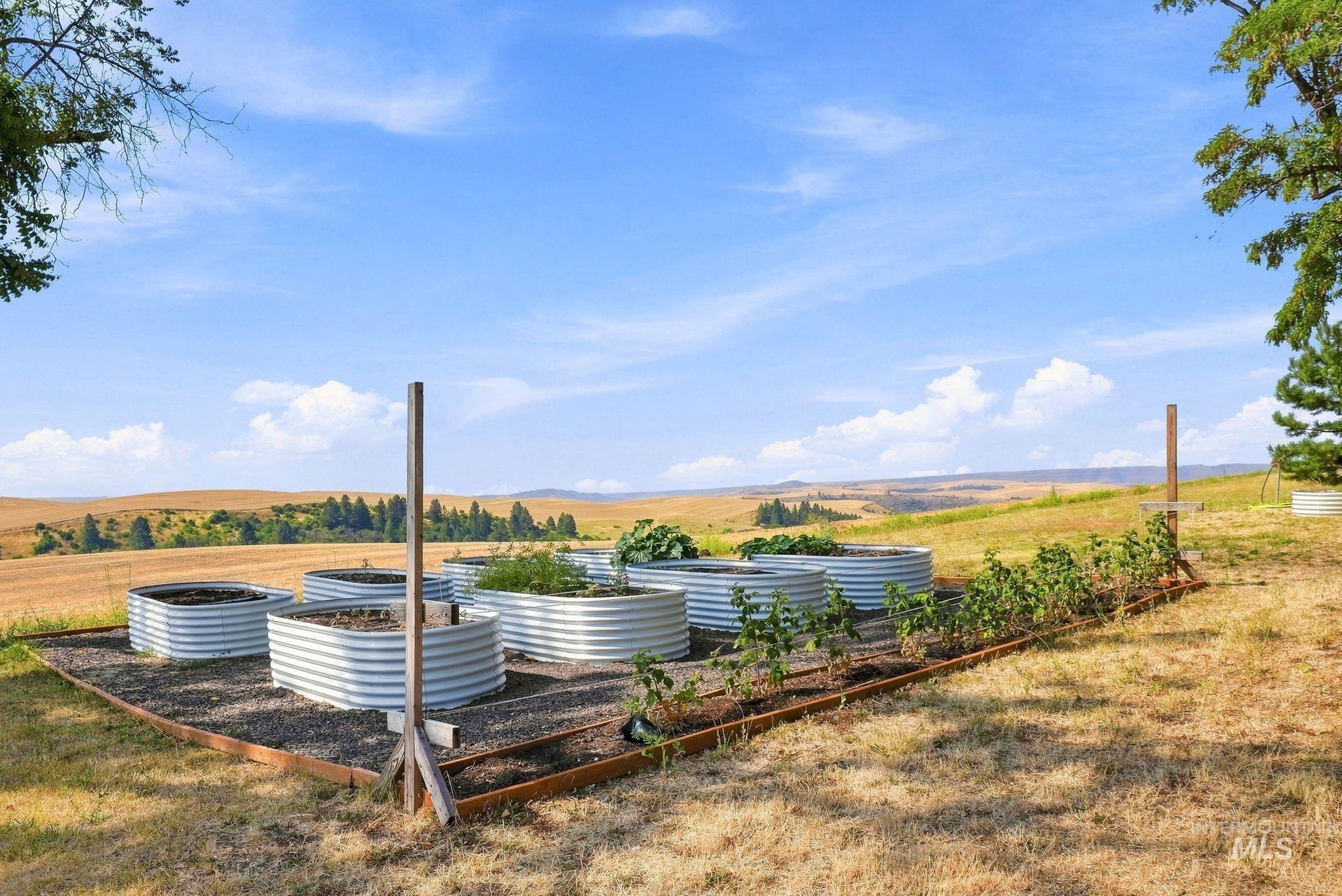 16078 Hoffman Road Property Photo 35