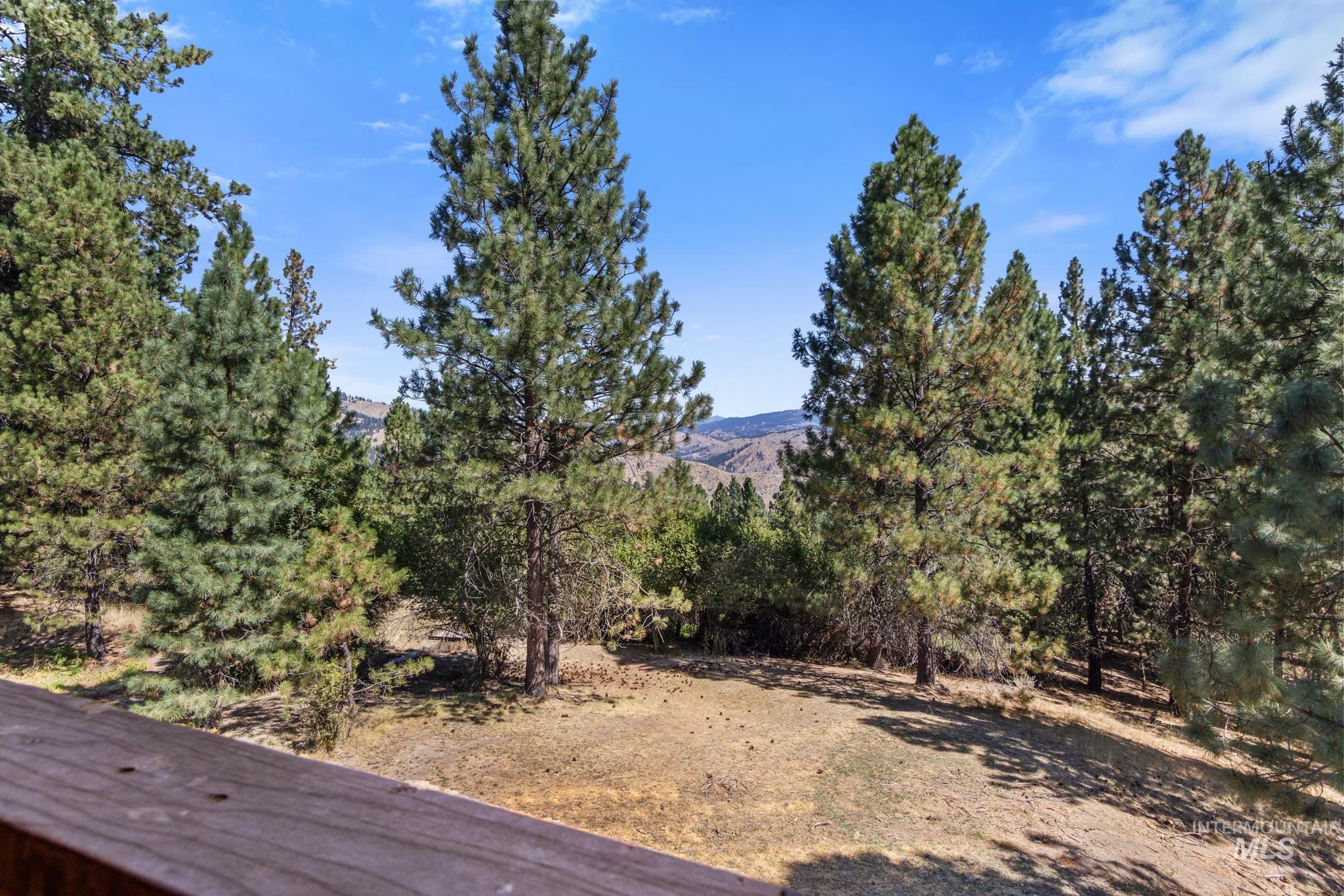 175 Evergreen Dr. Property Photo 41