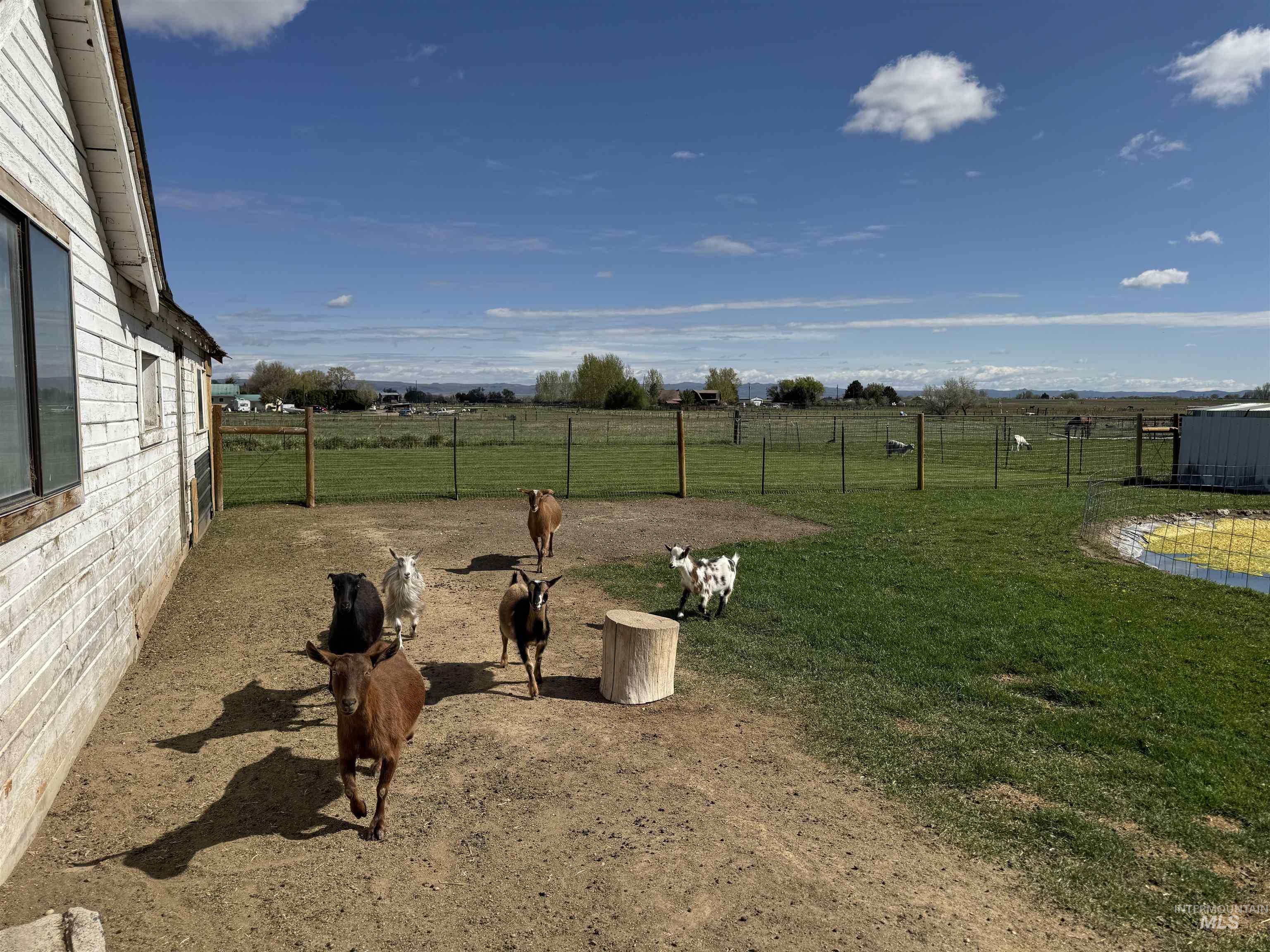 1698 State Highway 46 Property Photo 23