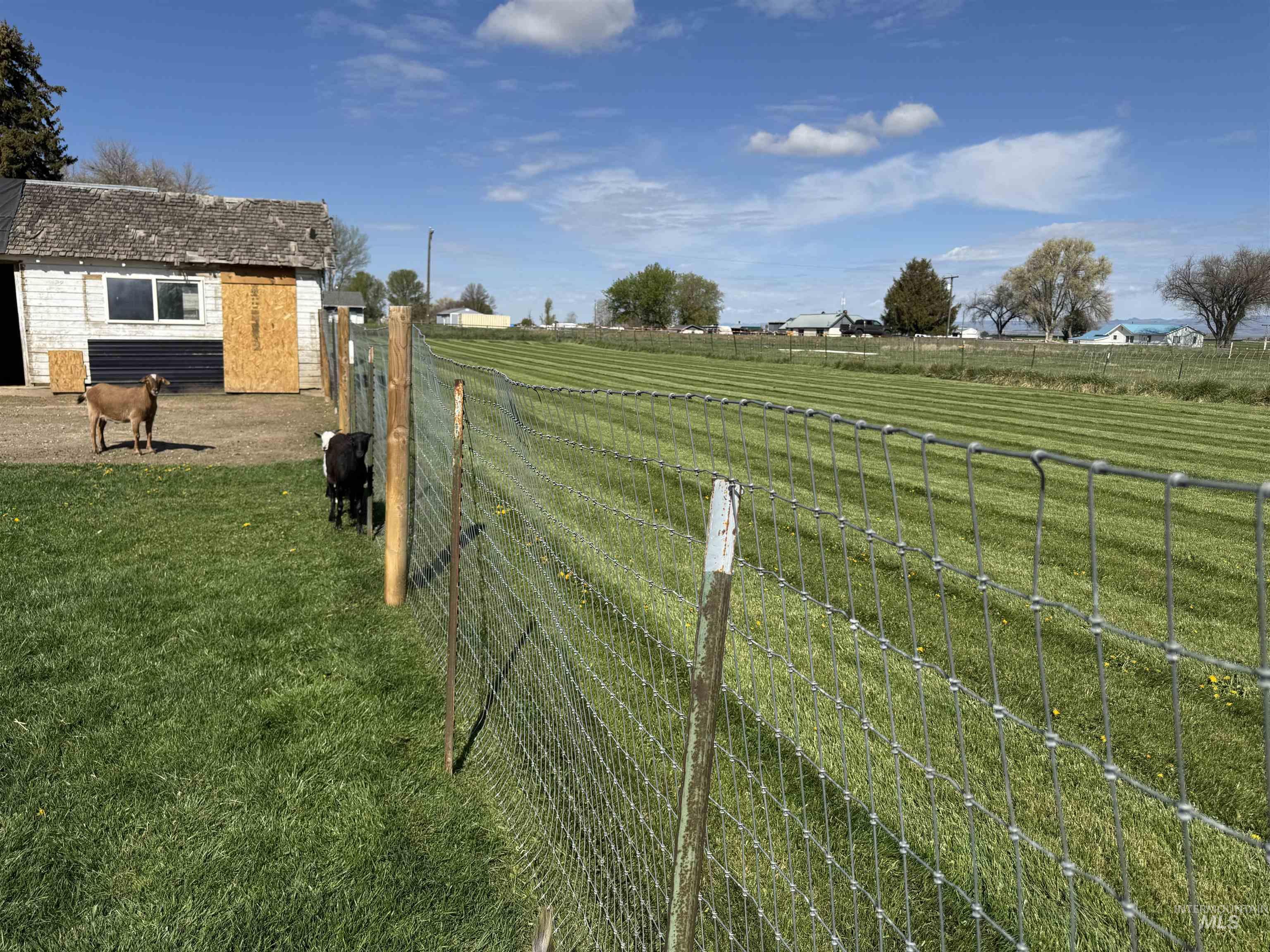 1698 State Highway 46 Property Photo 28