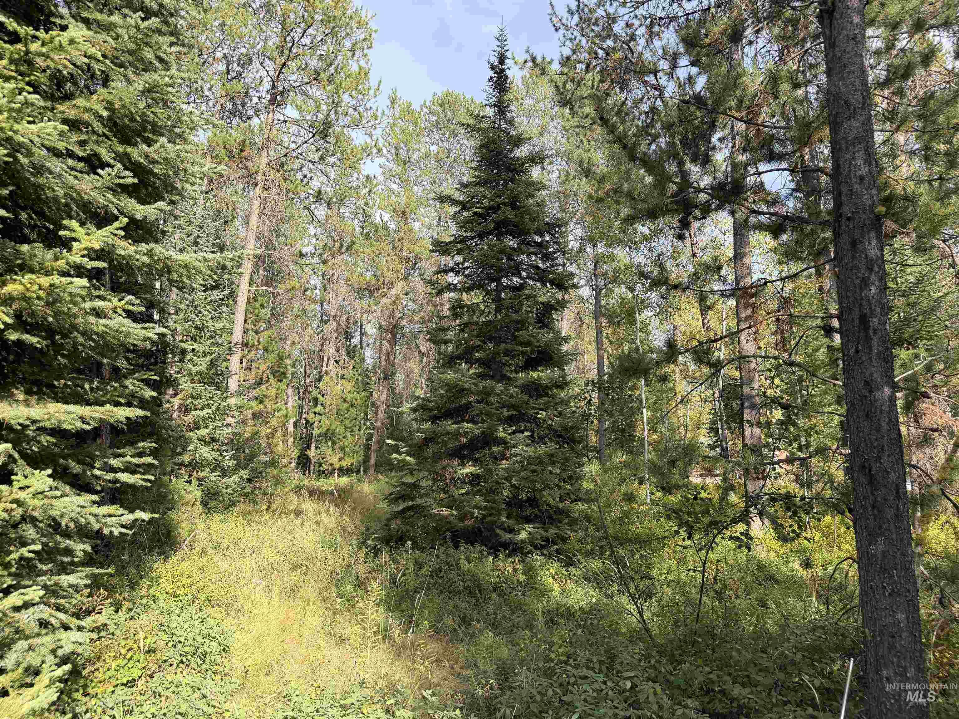 12886 Willow Property Photo 1