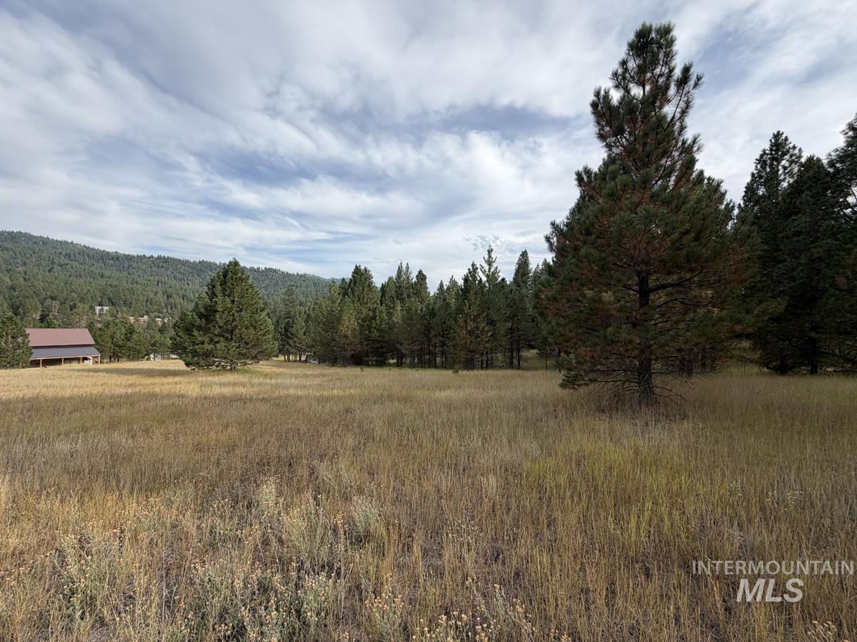15 Blue Spruce Court Property Photo 1
