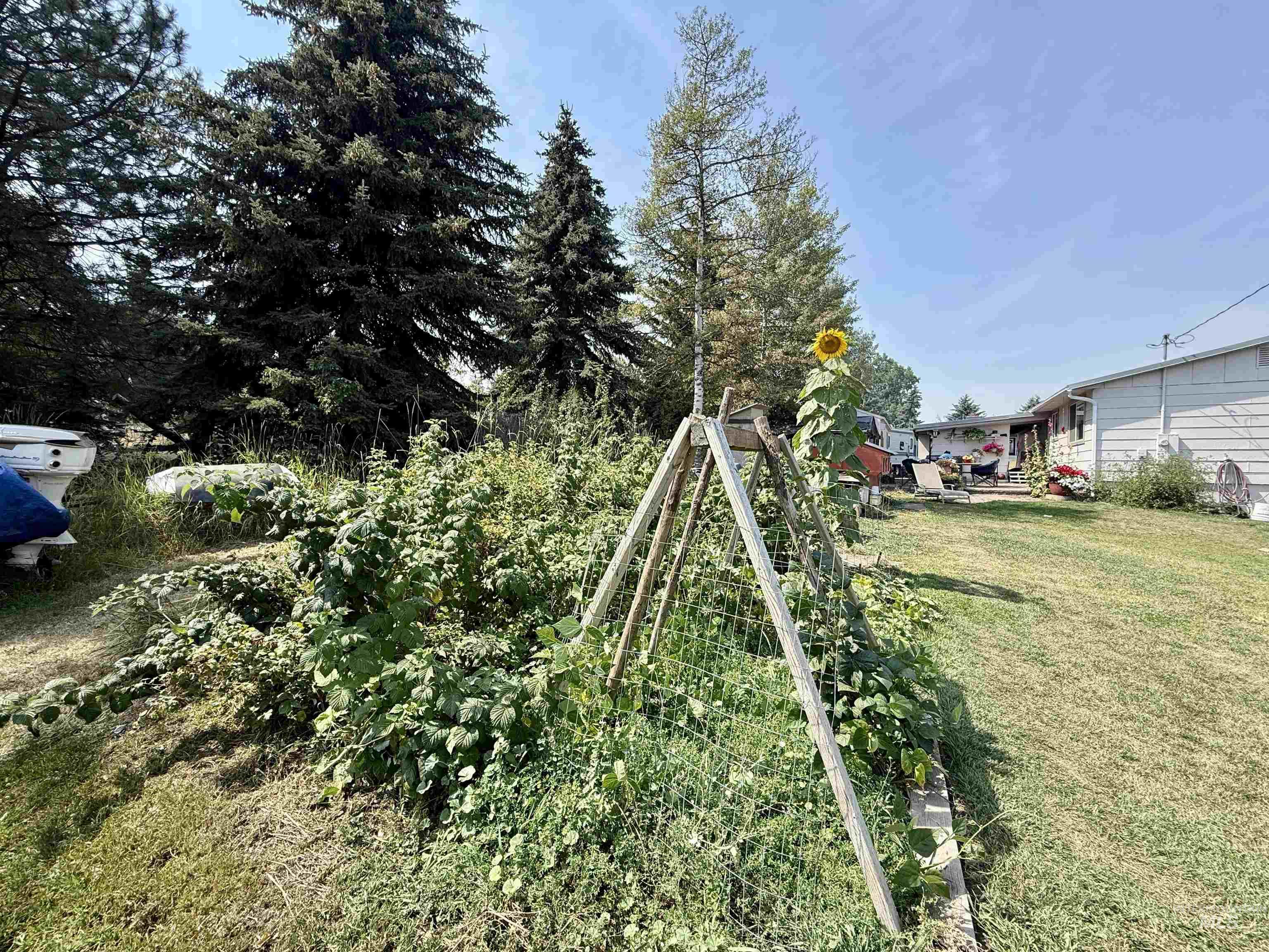 810 4th Ave Property Photo 21