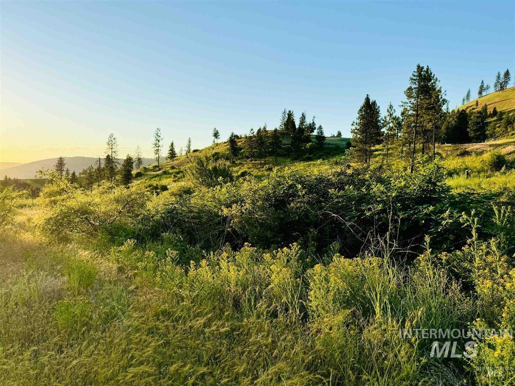 Tbd Lot #3 Beaverslide Rd Property Photo 6