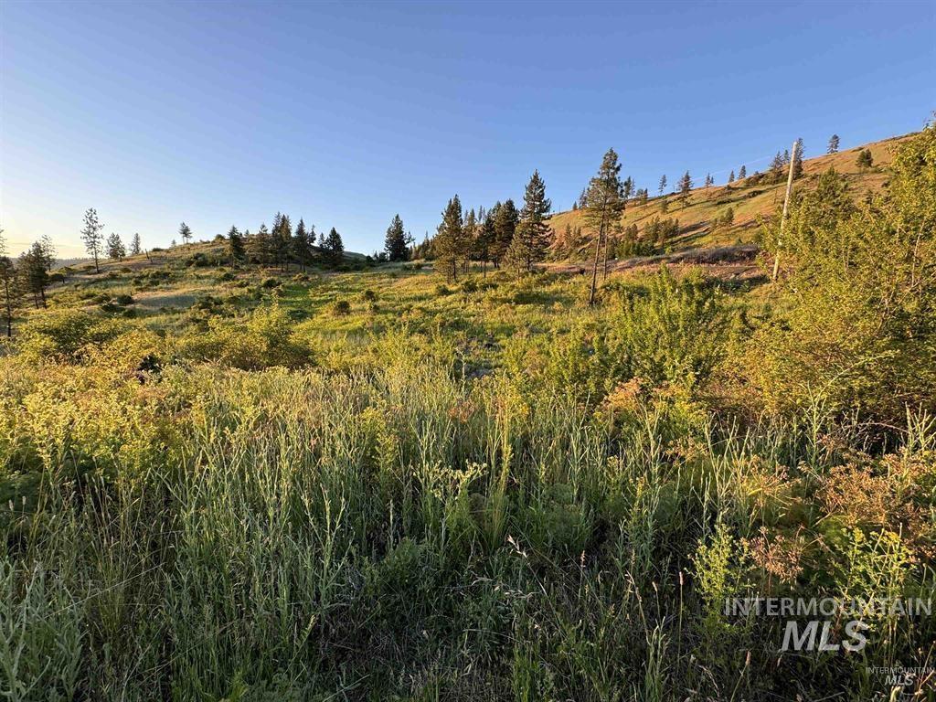 Tbd Lot #3 Beaverslide Rd Property Photo 18
