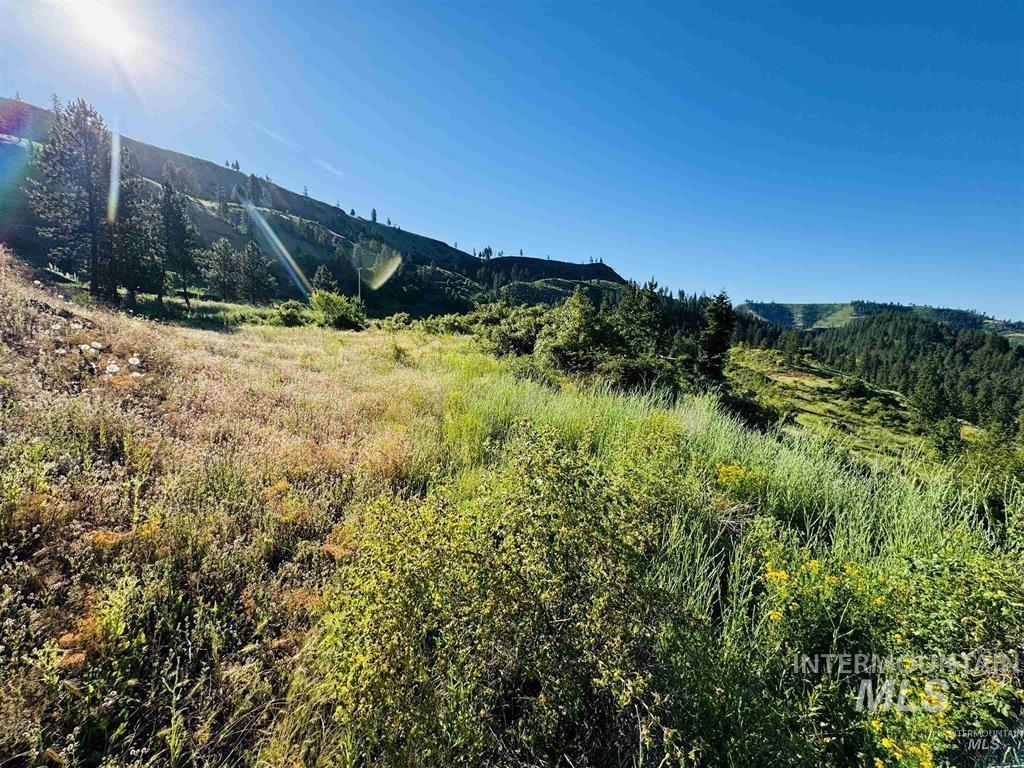 Tbd Lot #4 Beaverslide Rd Property Photo 16