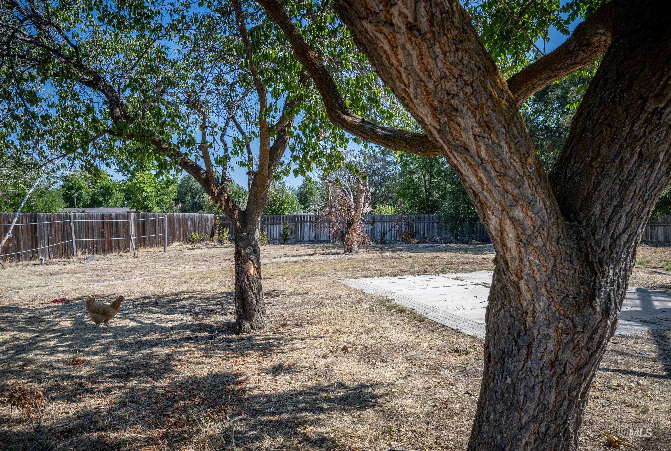 10502 W Fox Brush Dr Property Photo 13