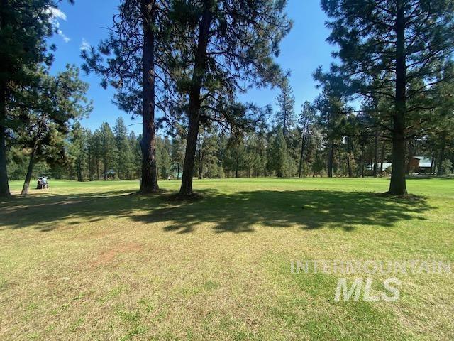 3633 Nelson Court Property Photo 2