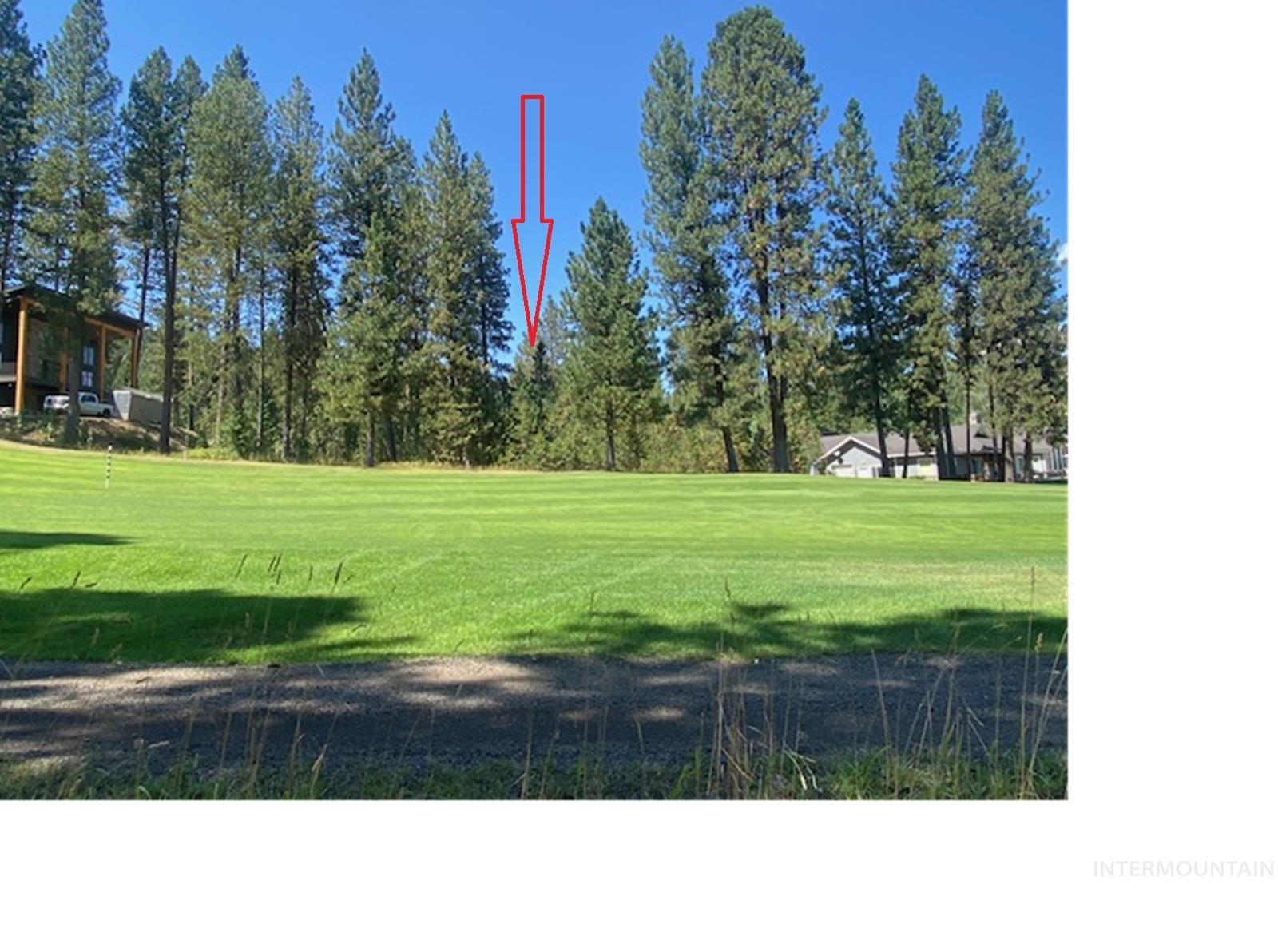 3633 Nelson Court Property Photo 3