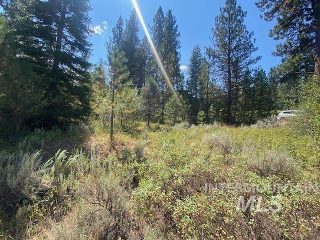 3633 Nelson Court Property Photo 3