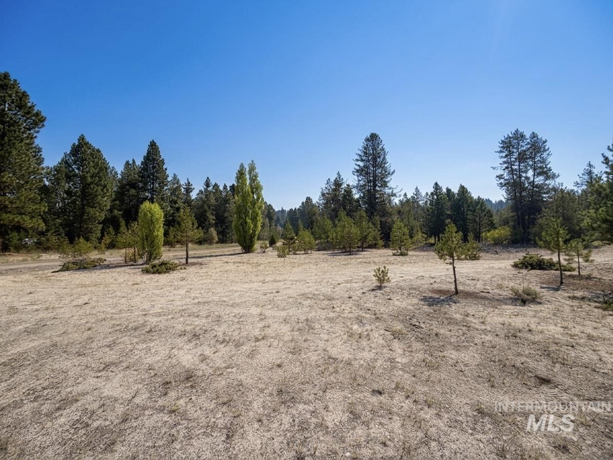 1xx Mineral Dr Property Photo 5