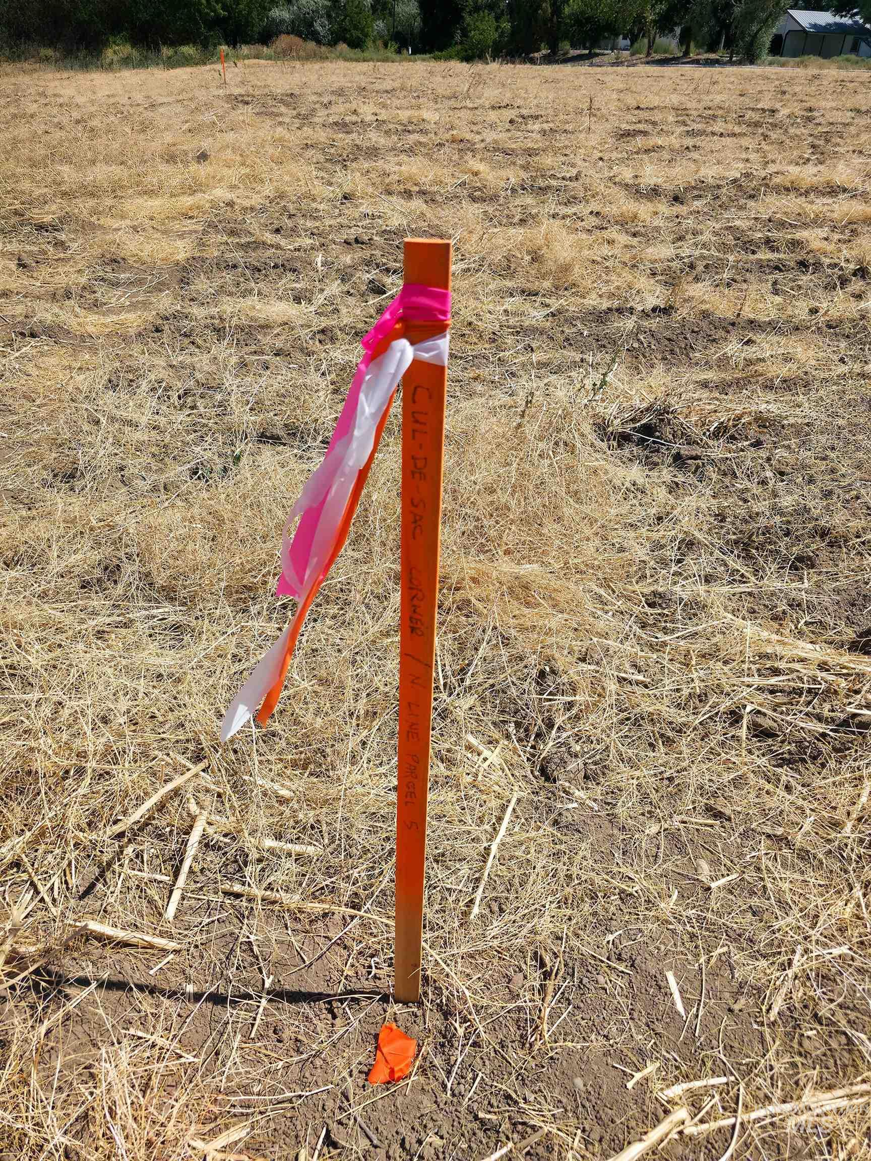 Tbd Lot 2 & 5 County Rd 70 Property Photo 8